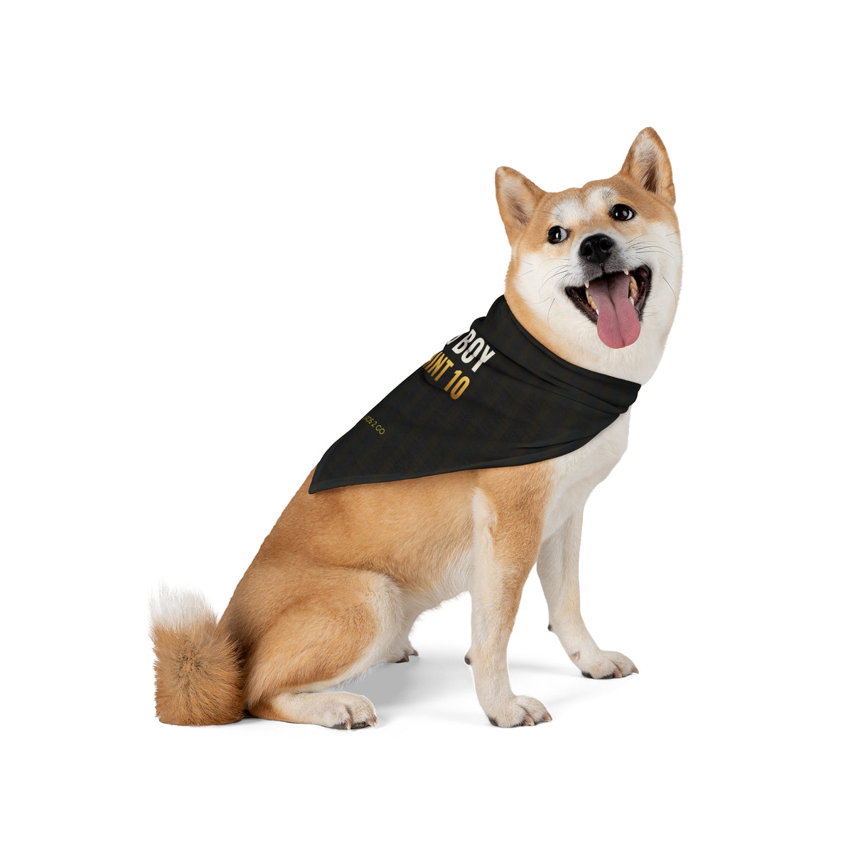 Good Boy, Gem Mint 10 Pet Bandana