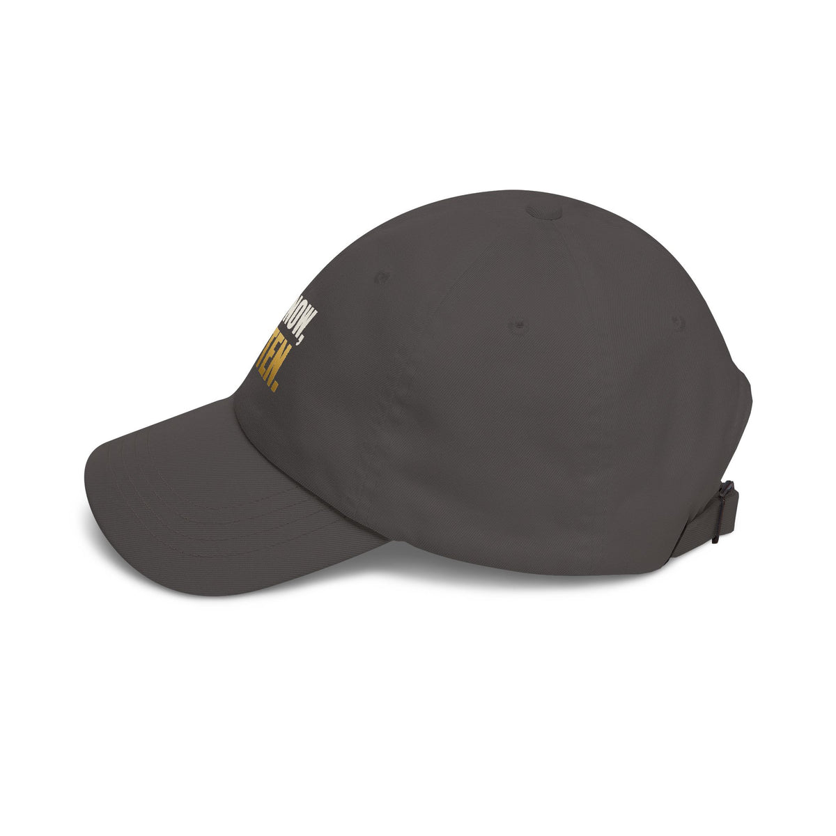 Not Now, Kitten. Dad Hat