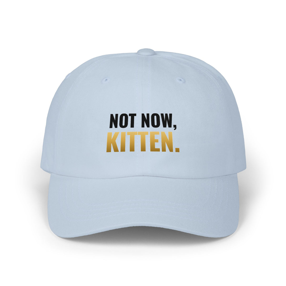 Not Now, Kitten. Dad Hat