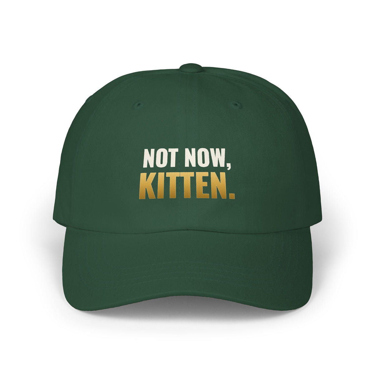Not Now, Kitten. Dad Hat