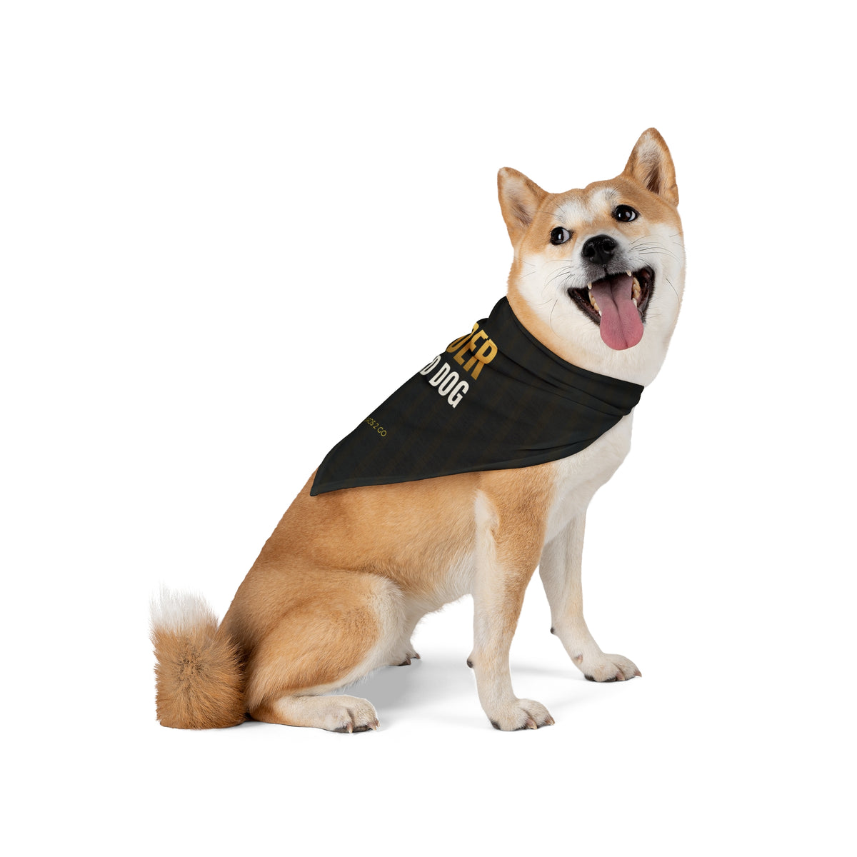 Binder Guard Dog Pet Bandana