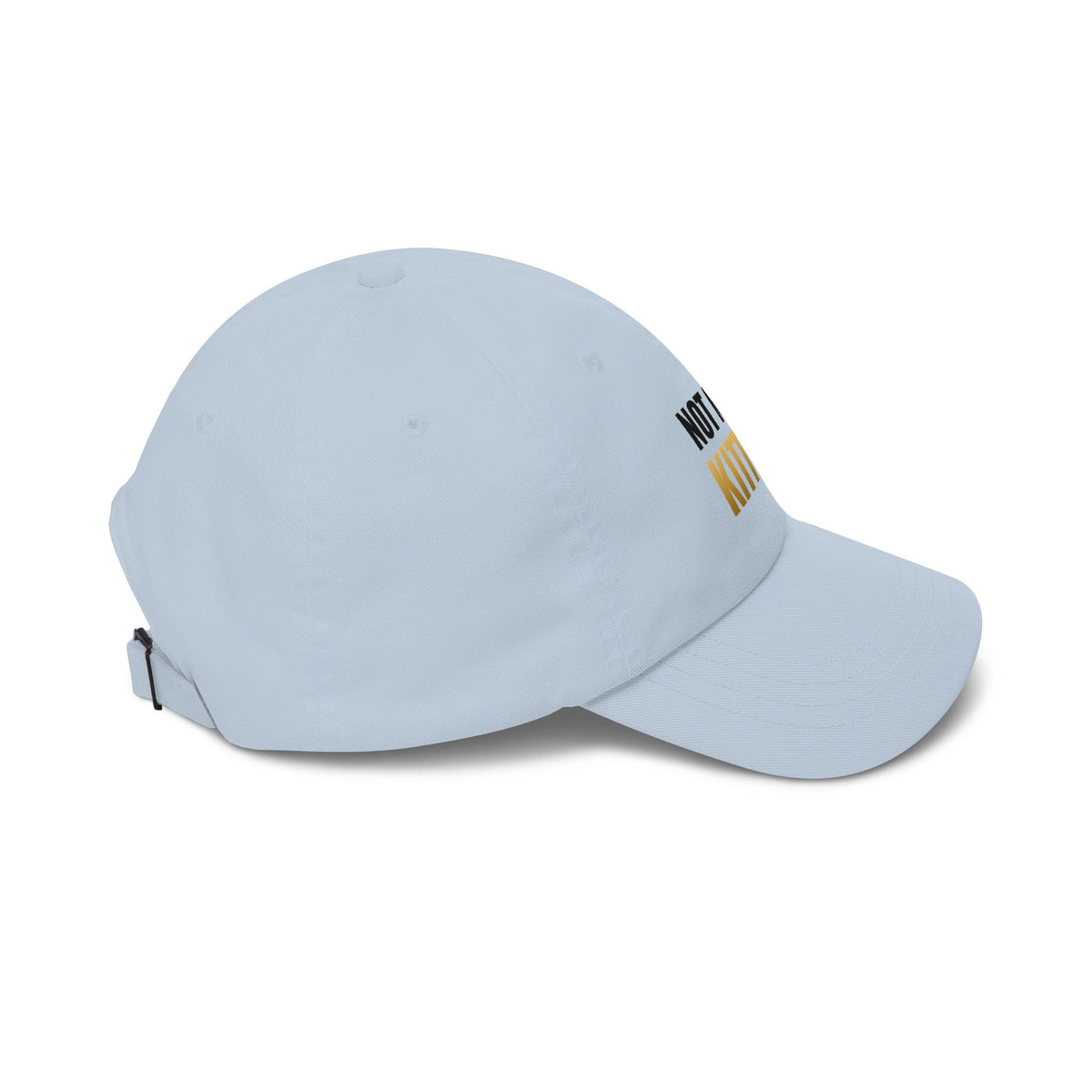 Not Now, Kitten. Dad Hat