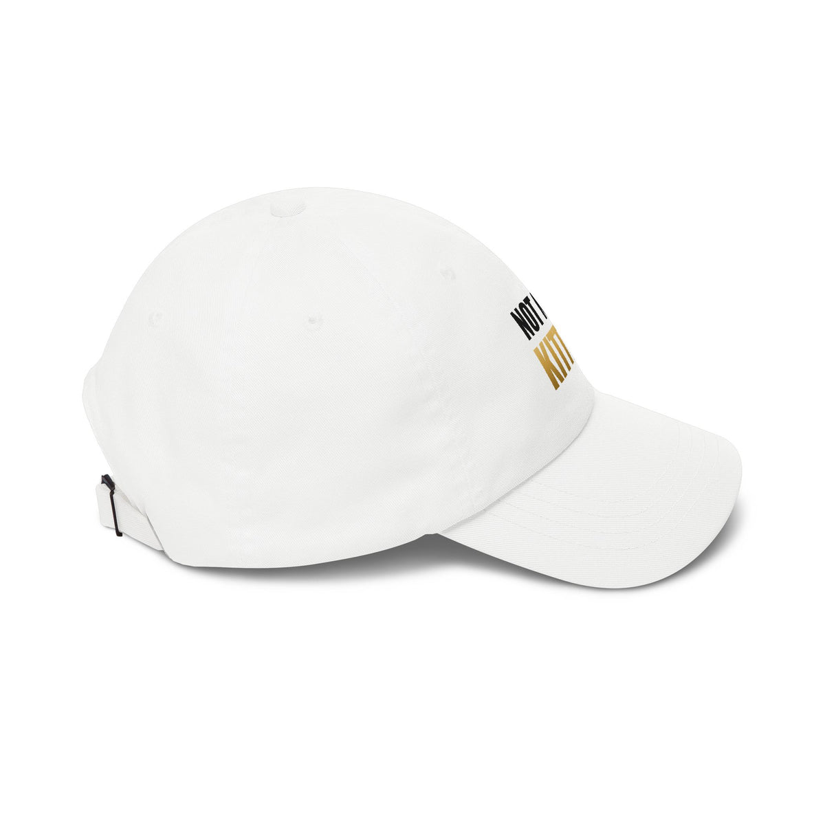 Not Now, Kitten. Dad Hat