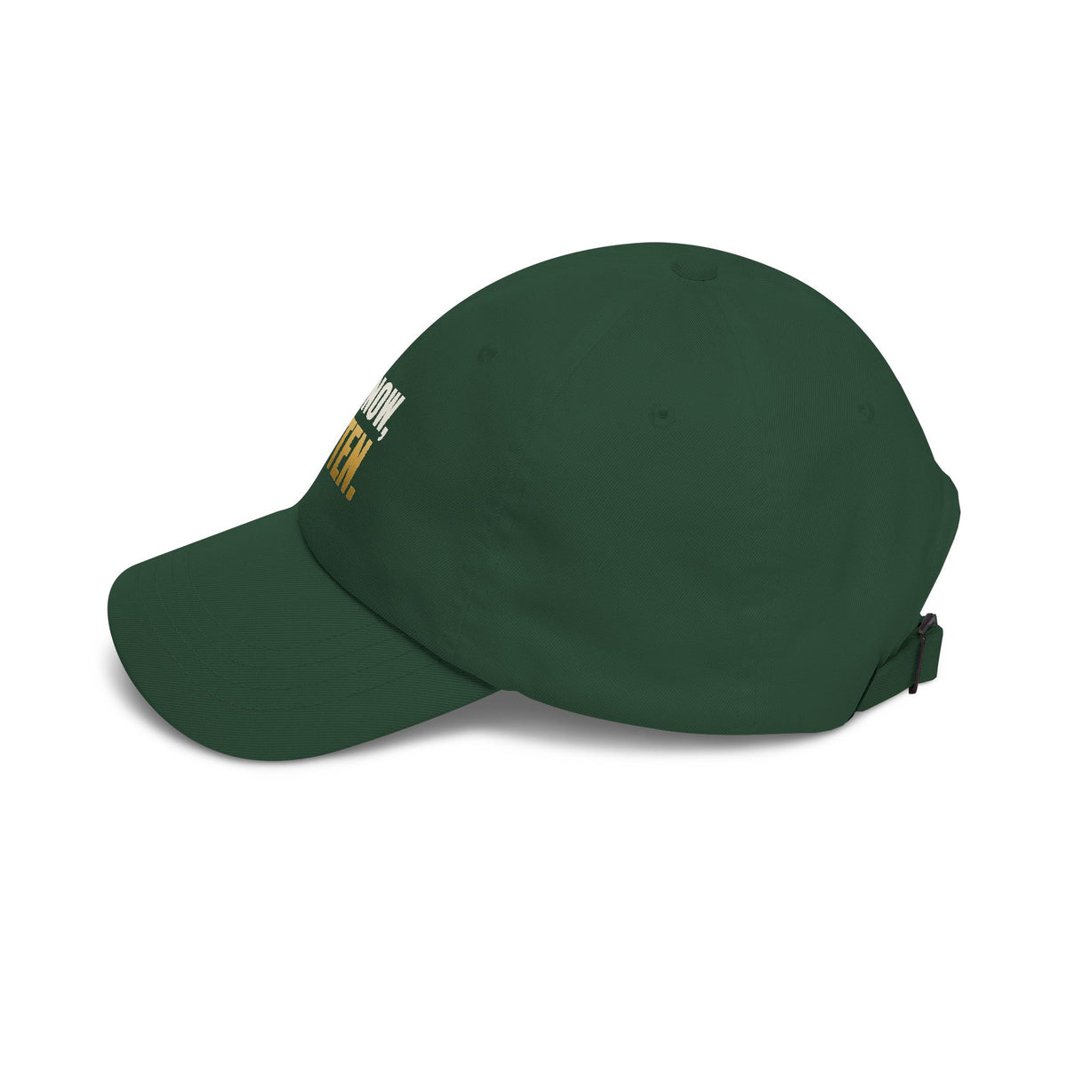 Not Now, Kitten. Dad Hat