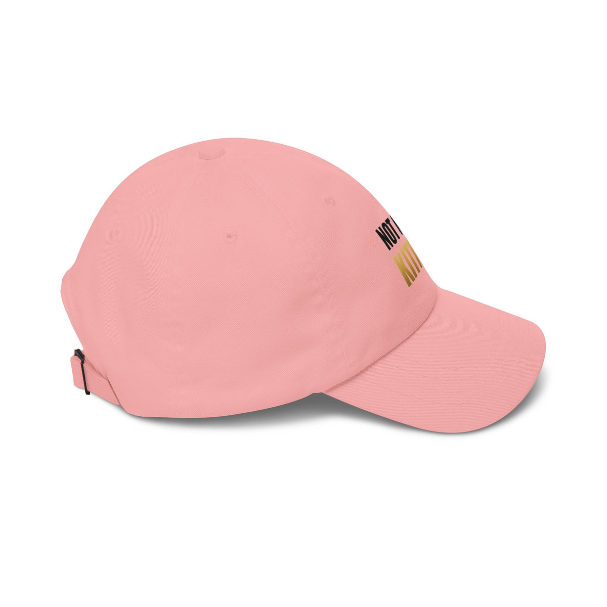 Not Now, Kitten. Dad Hat