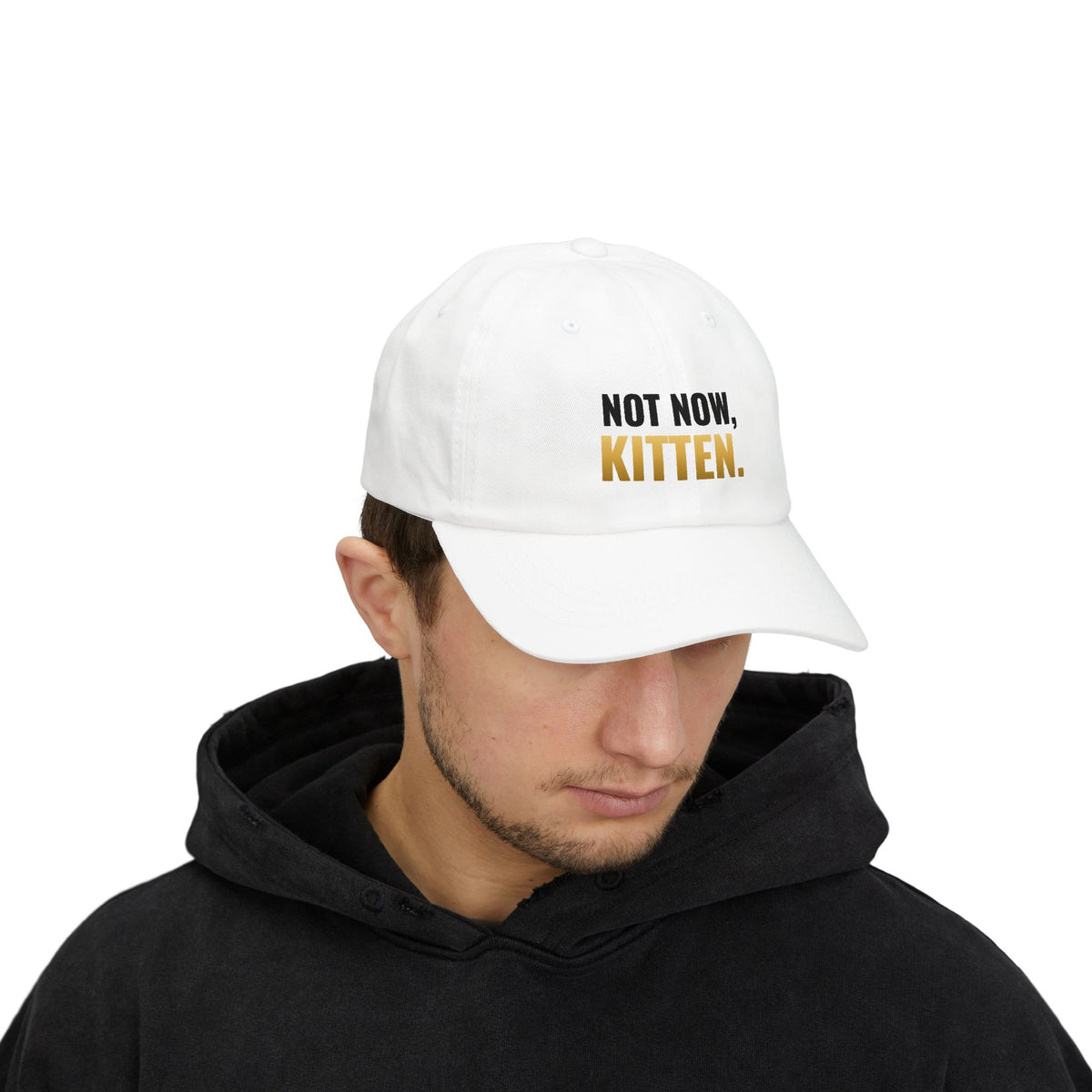 Not Now, Kitten. Dad Hat