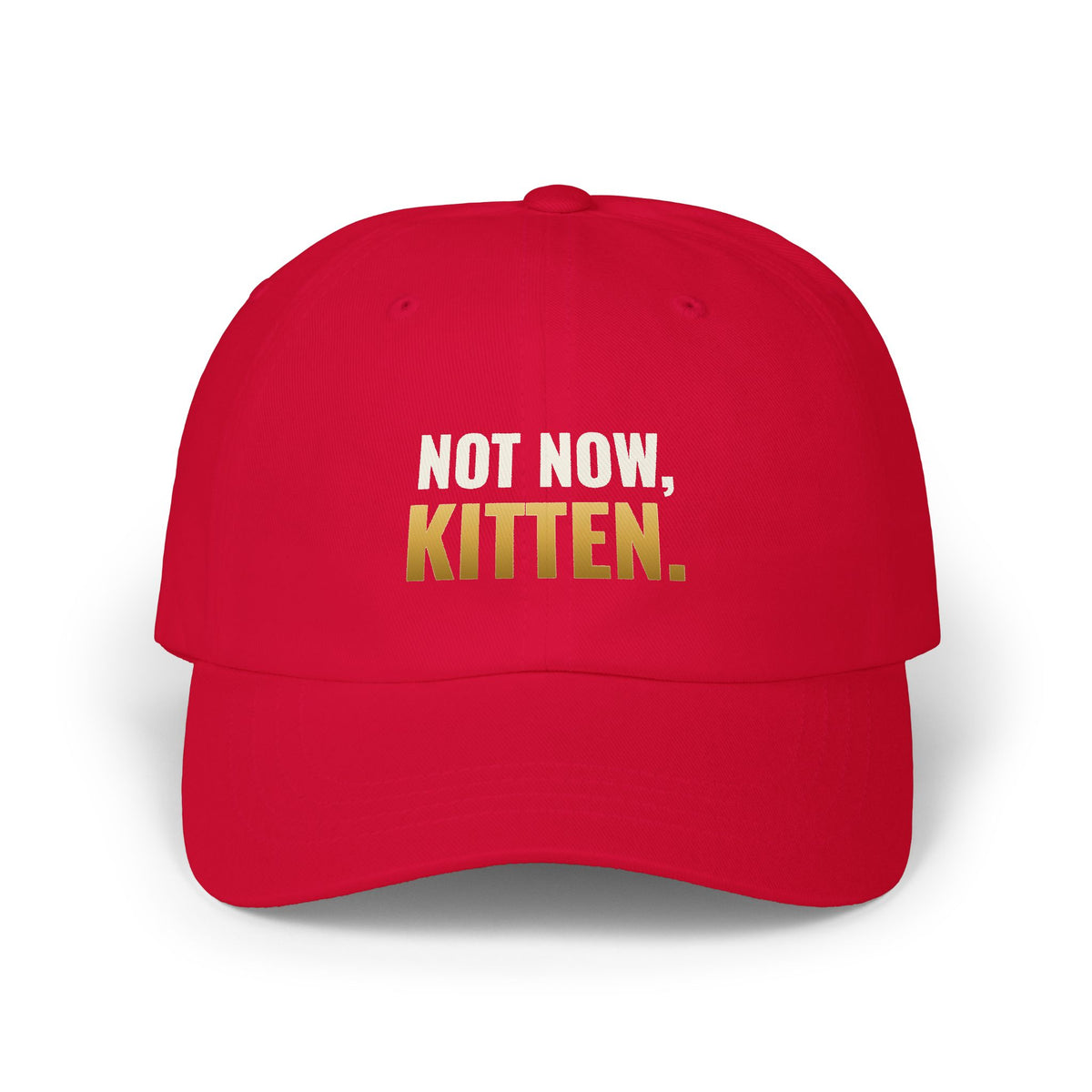 Not Now, Kitten. Dad Hat