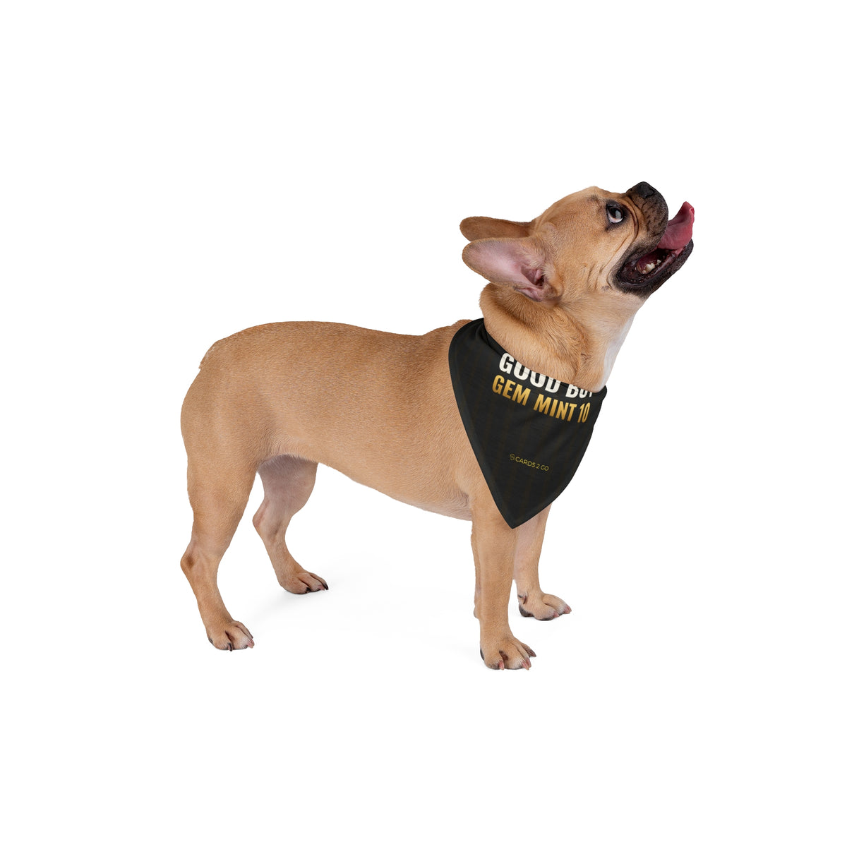 Good Boy, Gem Mint 10 Pet Bandana