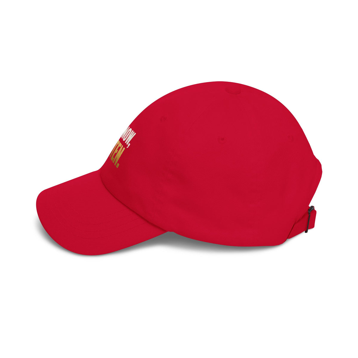 Not Now, Kitten. Dad Hat