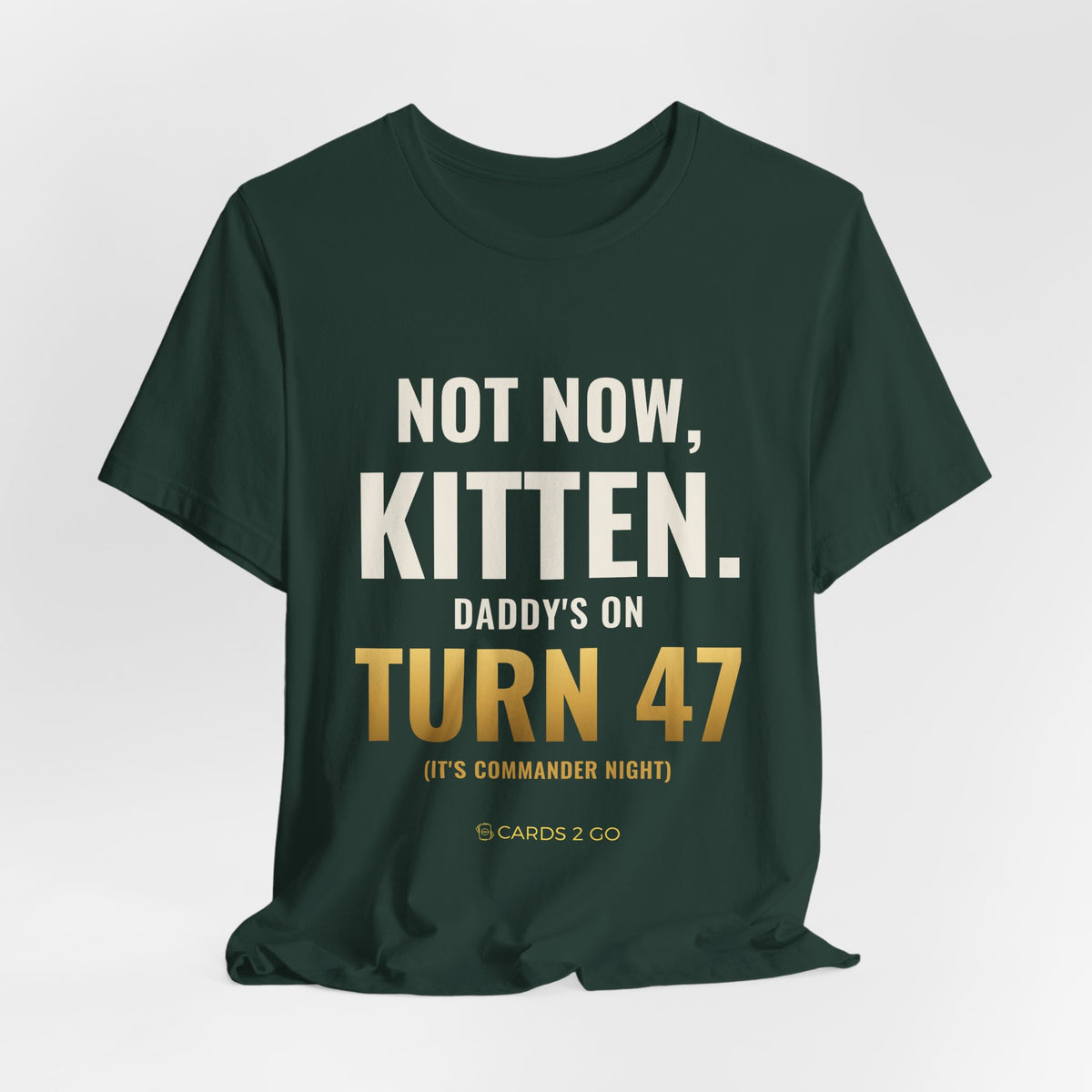 Not Now Kitten, Daddy's On Turn 47 Tee