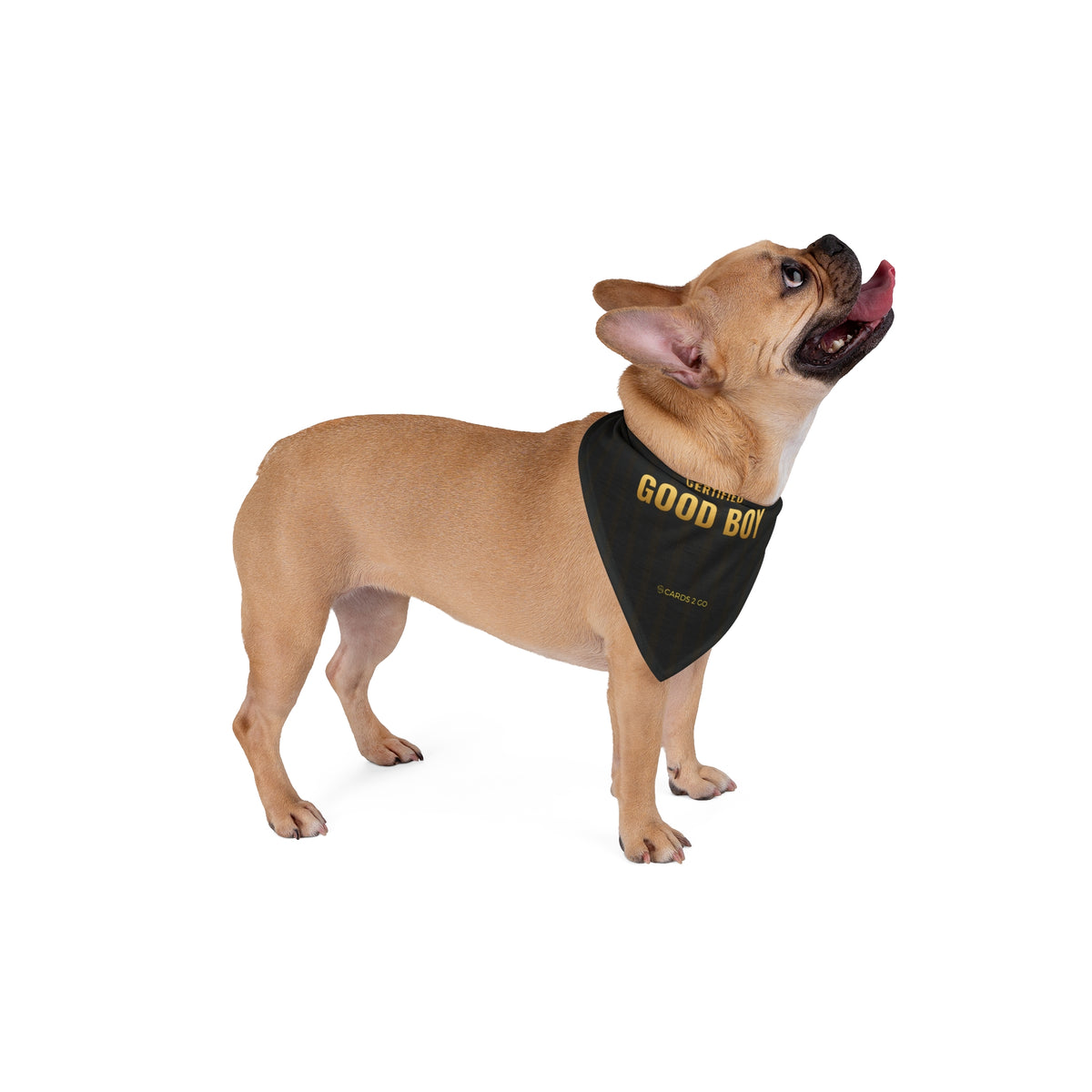 Certified Good Boy Pet Bandana