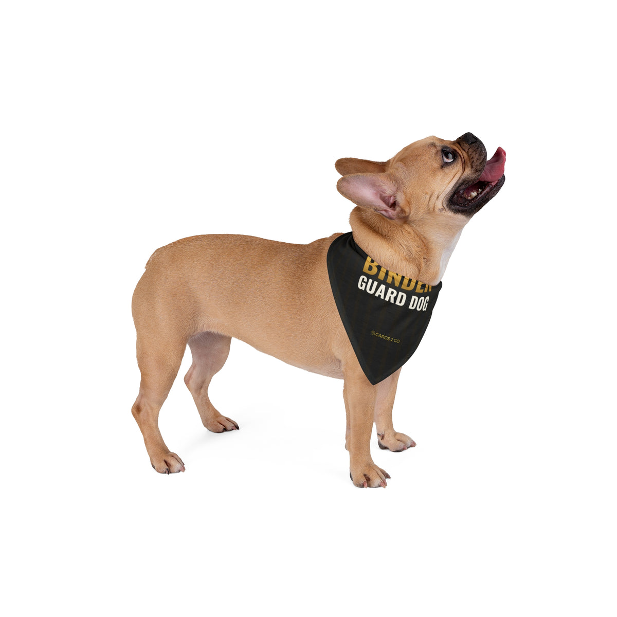 Binder Guard Dog Pet Bandana