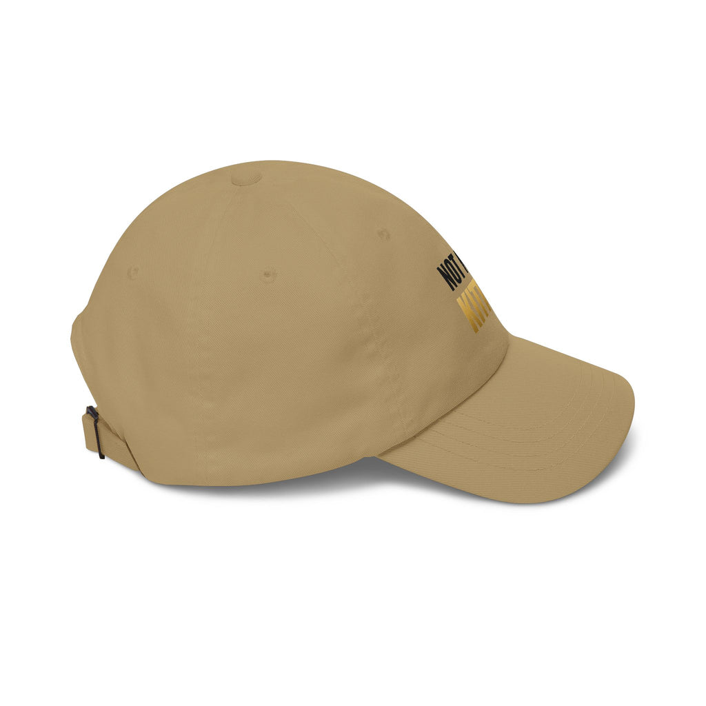 Not Now, Kitten. Dad Hat