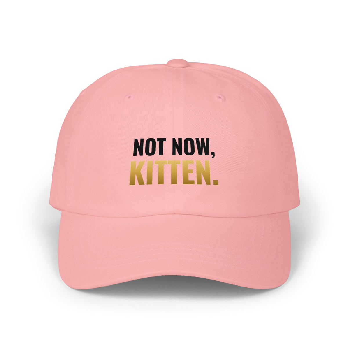 Not Now, Kitten. Dad Hat