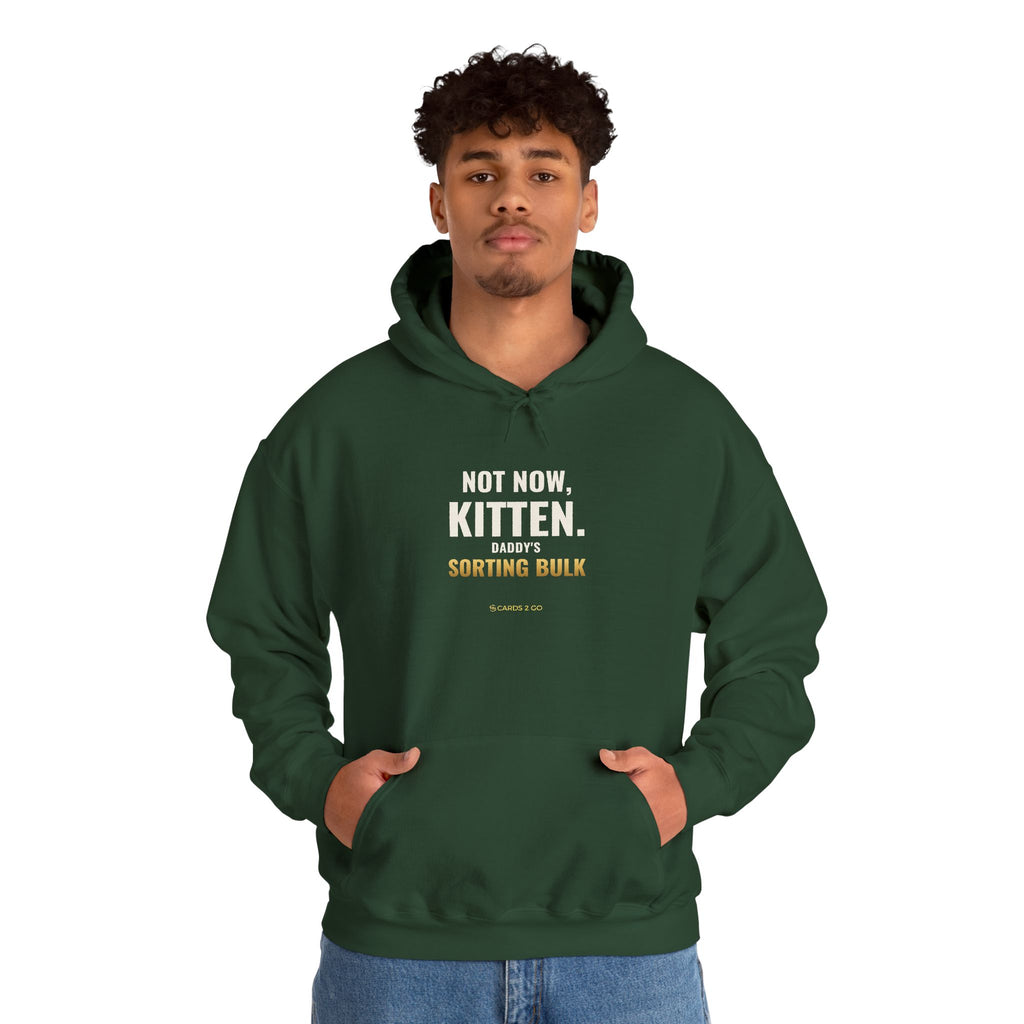 Not Now Kitten, Daddy's Sorting Bulk Hoodie