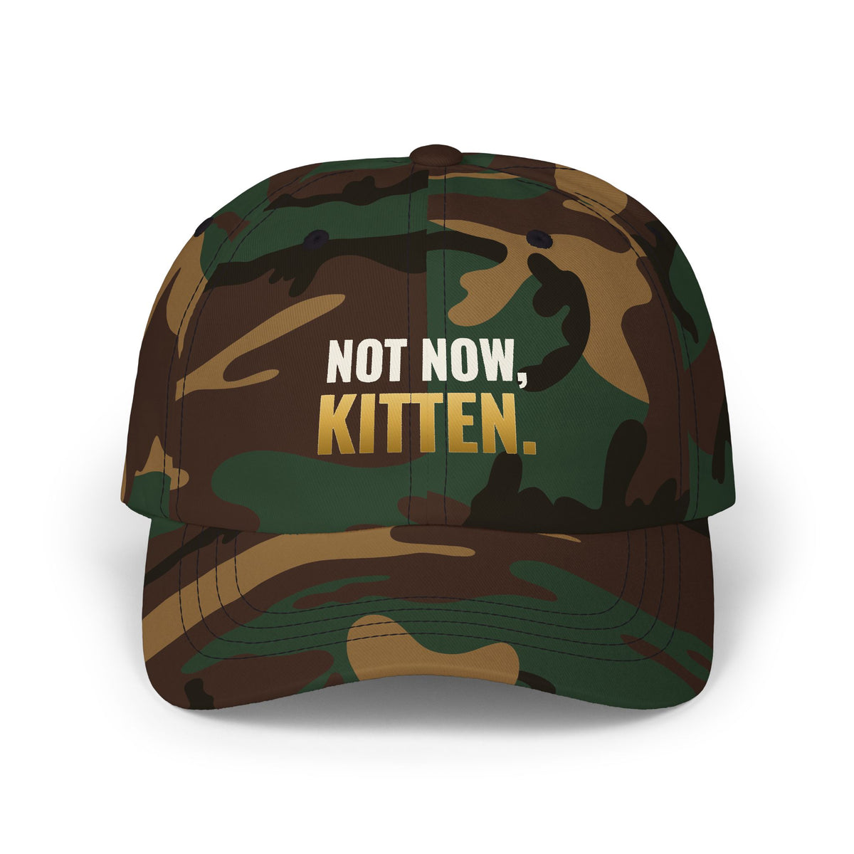 Not Now, Kitten. Dad Hat