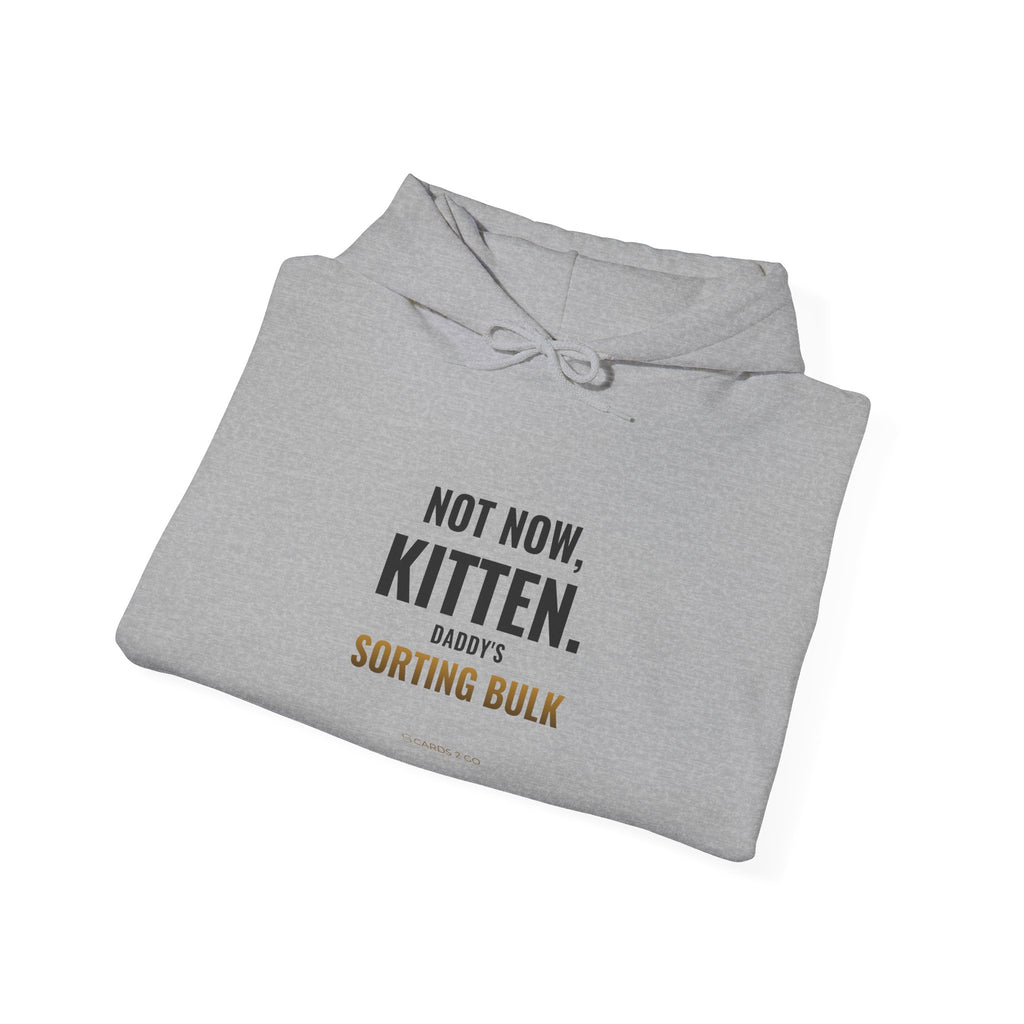 Not Now Kitten, Daddy's Sorting Bulk Hoodie