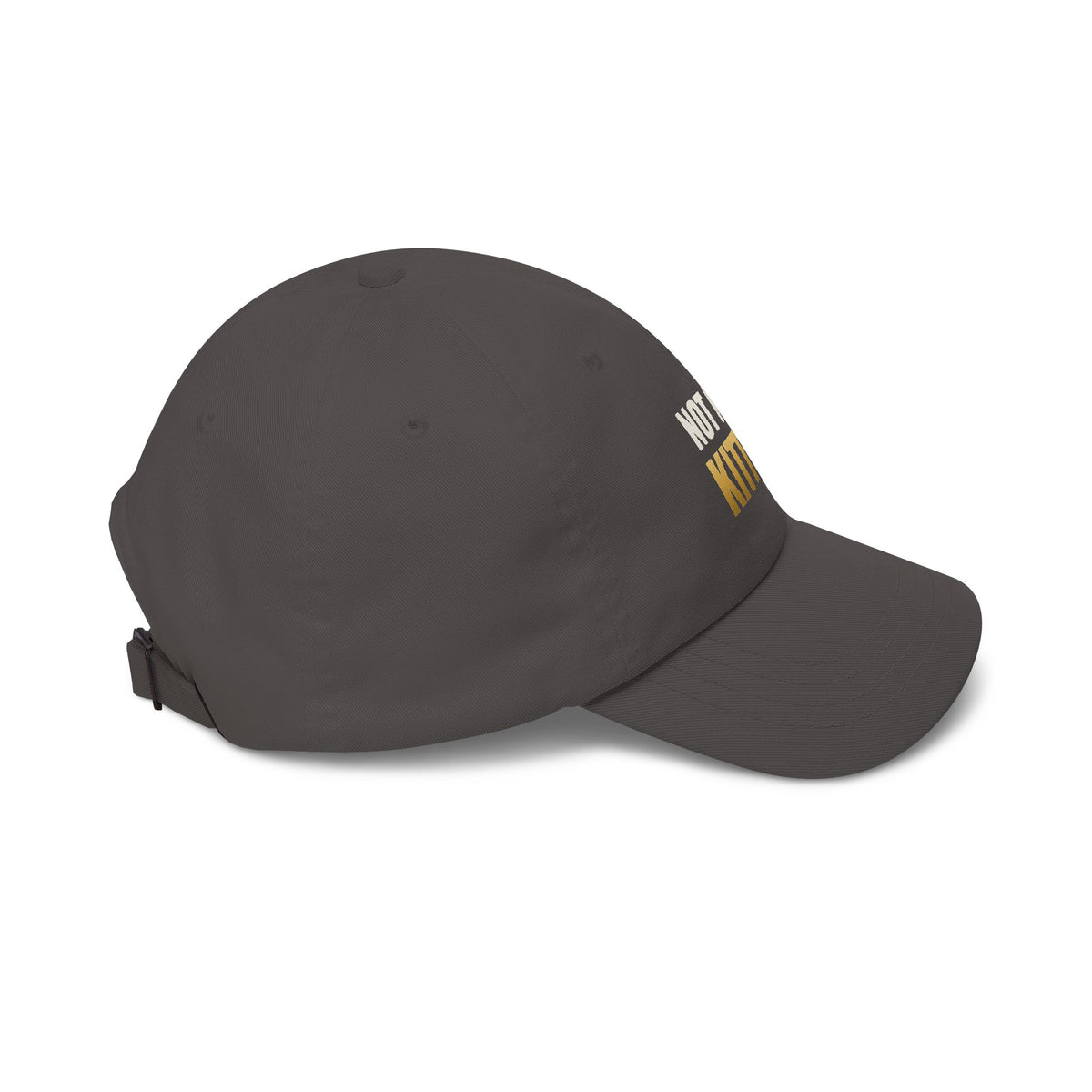Not Now, Kitten. Dad Hat