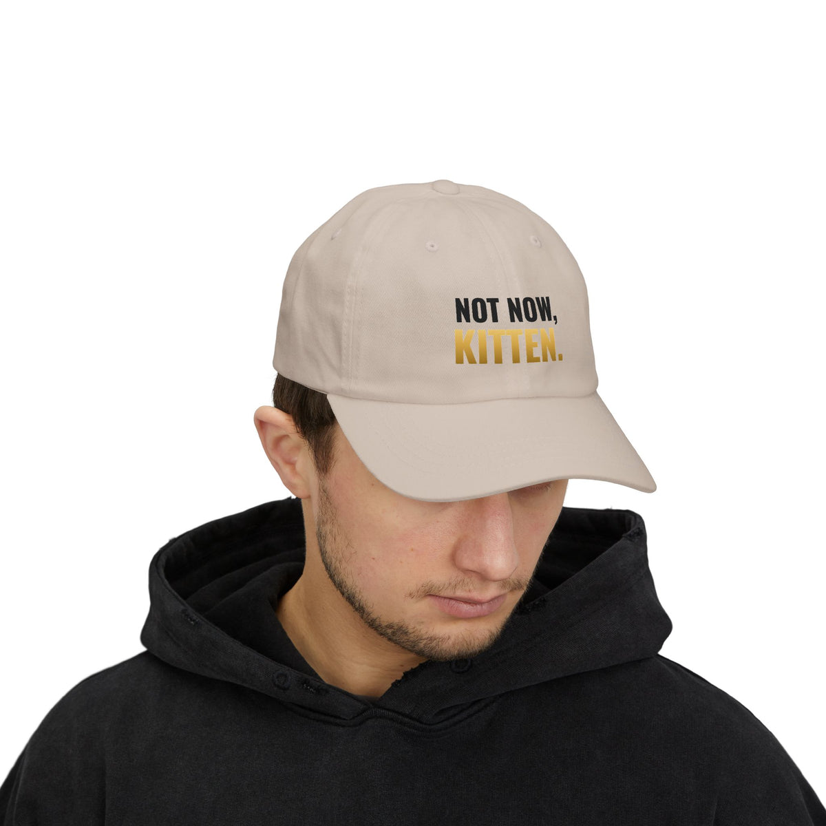Not Now, Kitten. Dad Hat