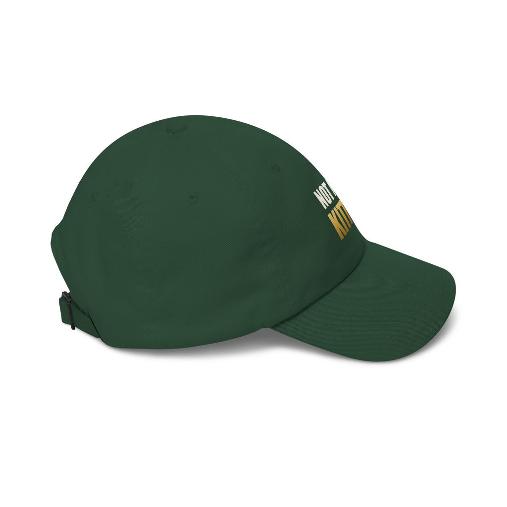 Not Now, Kitten. Dad Hat