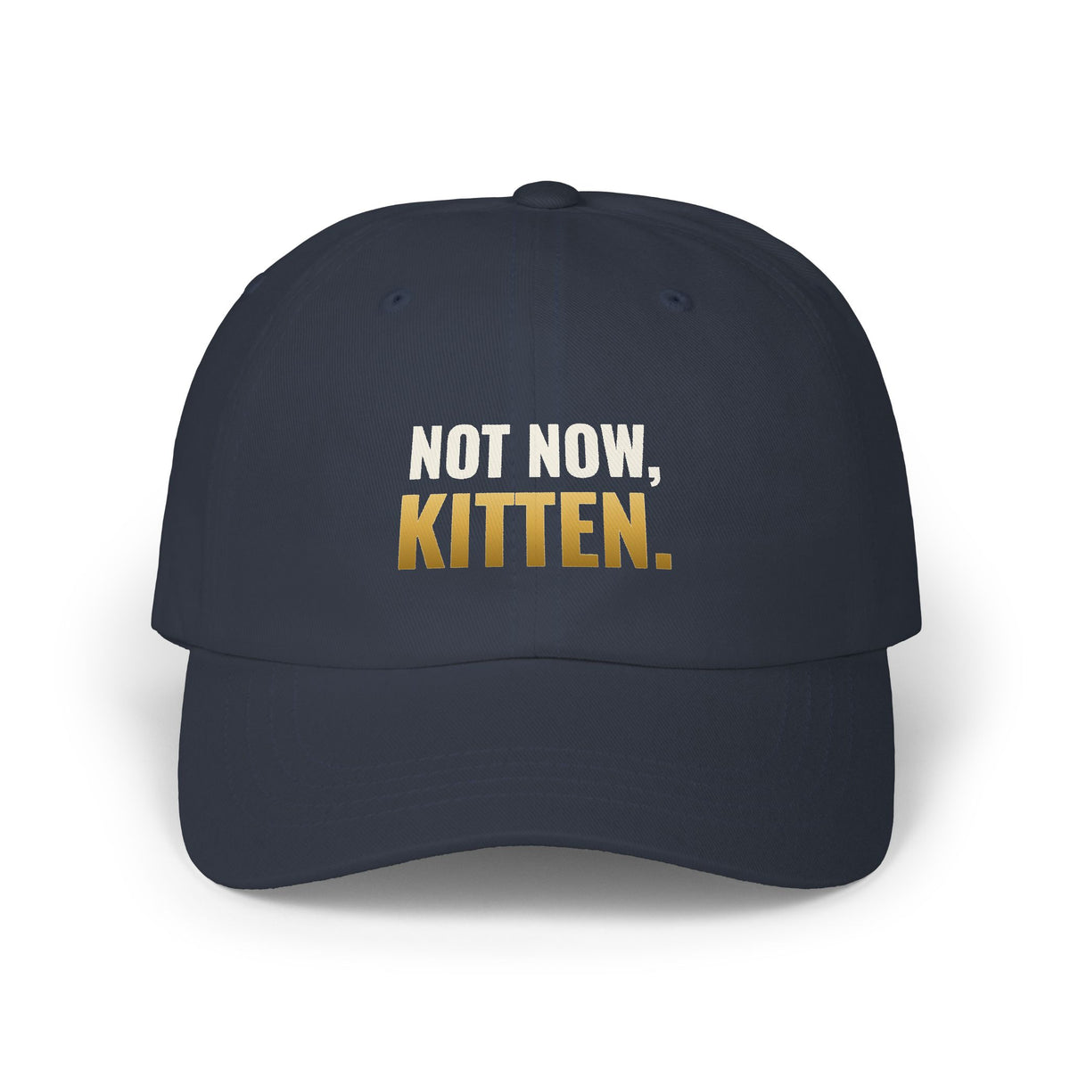 Not Now, Kitten. Dad Hat