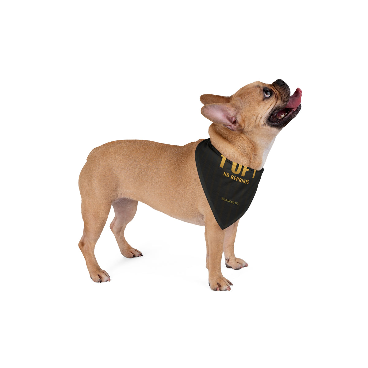 1 Of 1 Pet Bandana