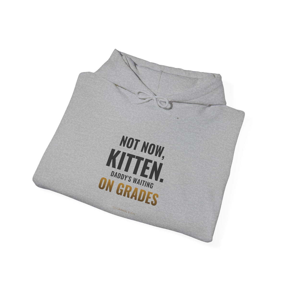 Not Now Kitten, Daddy's Waiting On Grades Hoodie