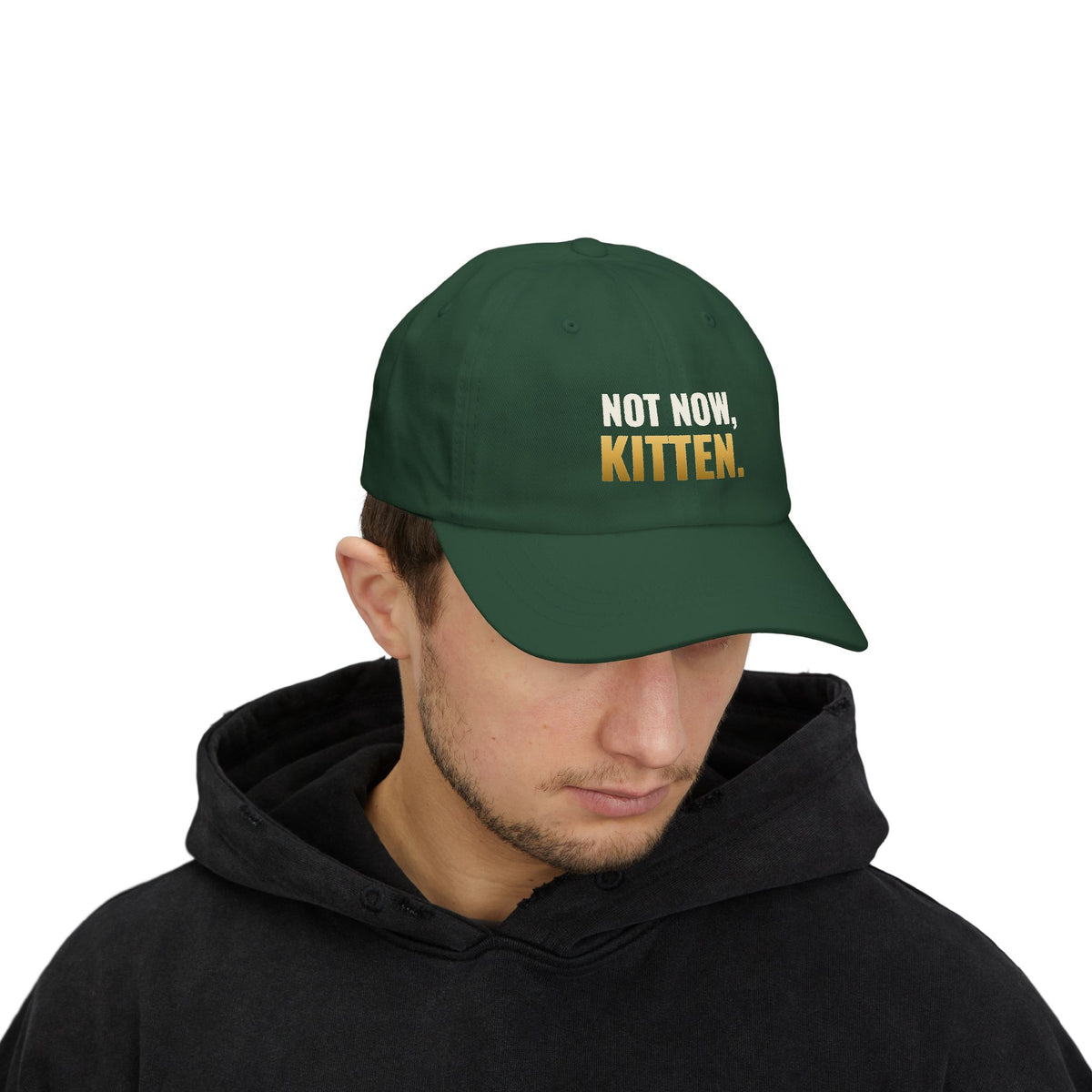 Not Now, Kitten. Dad Hat
