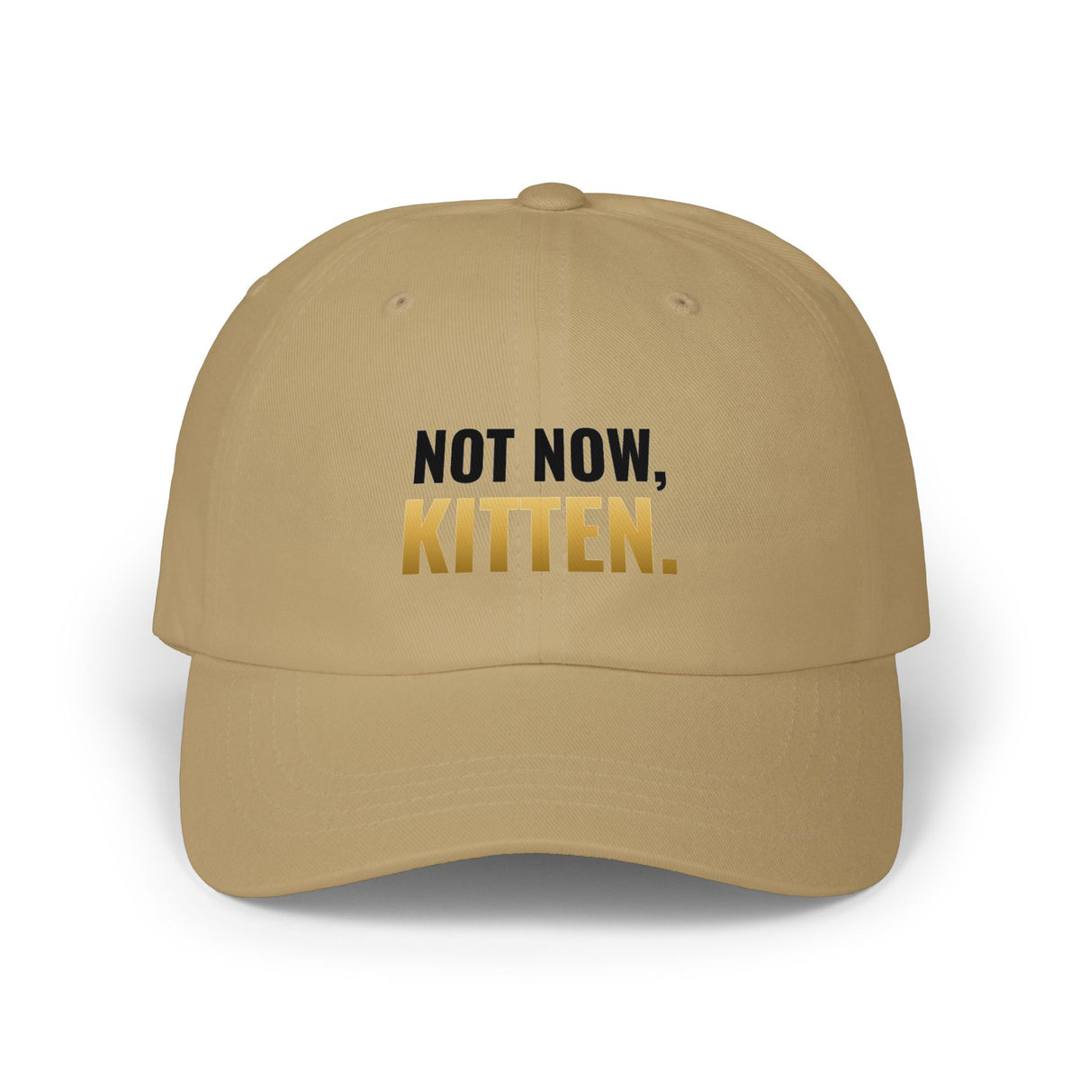 Not Now, Kitten. Dad Hat